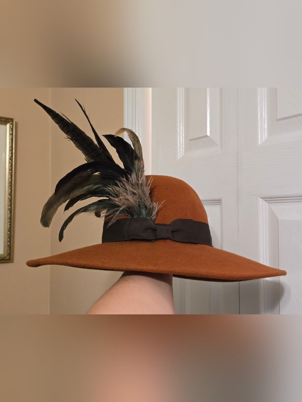 Wide Brim Feather Accent Wool Hat - Rust Brown